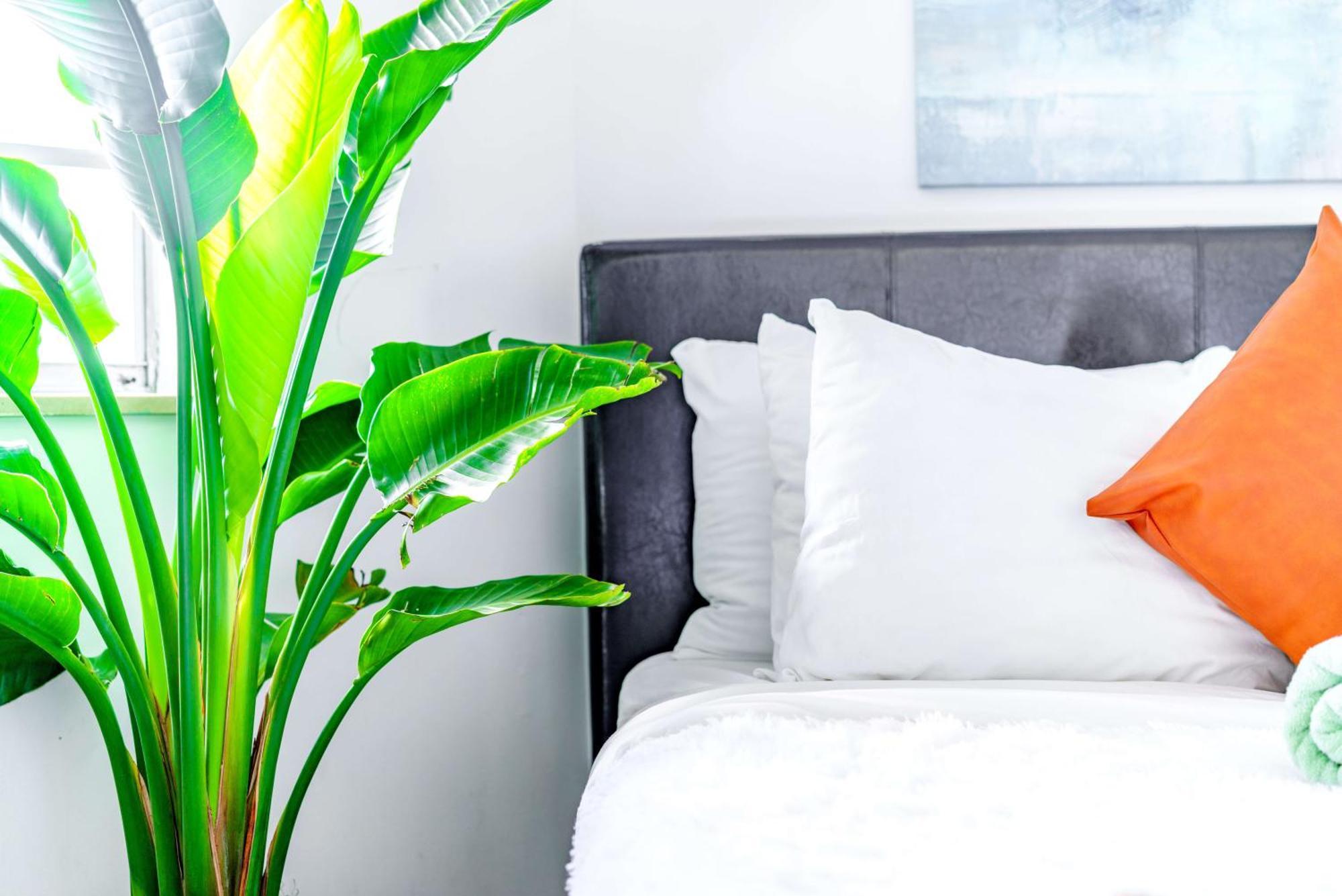 Apartament Short North Convention Private Parking Pets Columbus Zewnętrze zdjęcie
