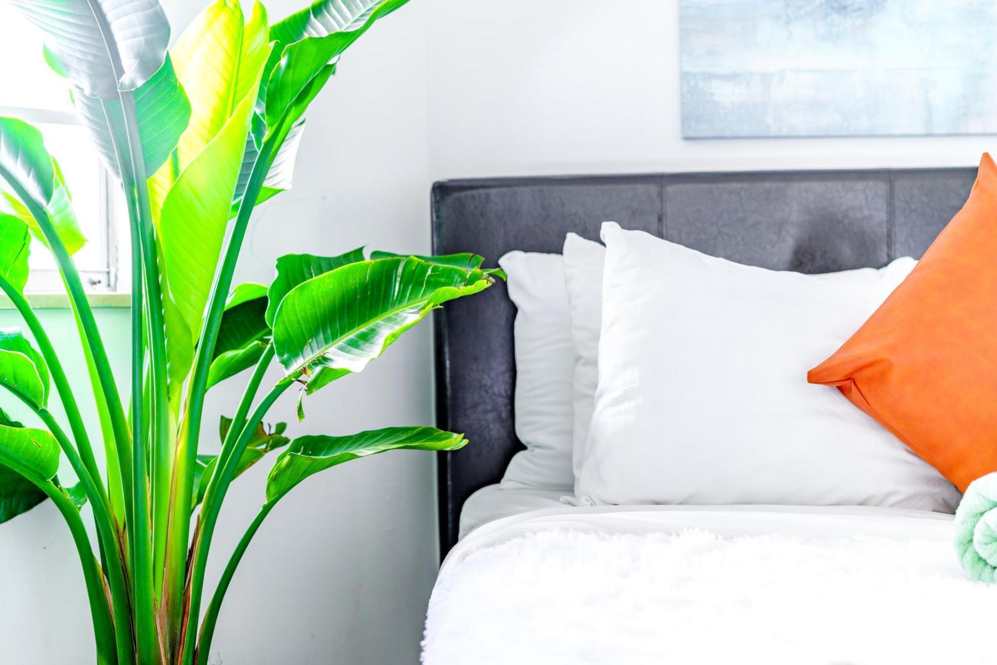 Apartament Short North Convention Private Parking Pets Columbus Zewnętrze zdjęcie